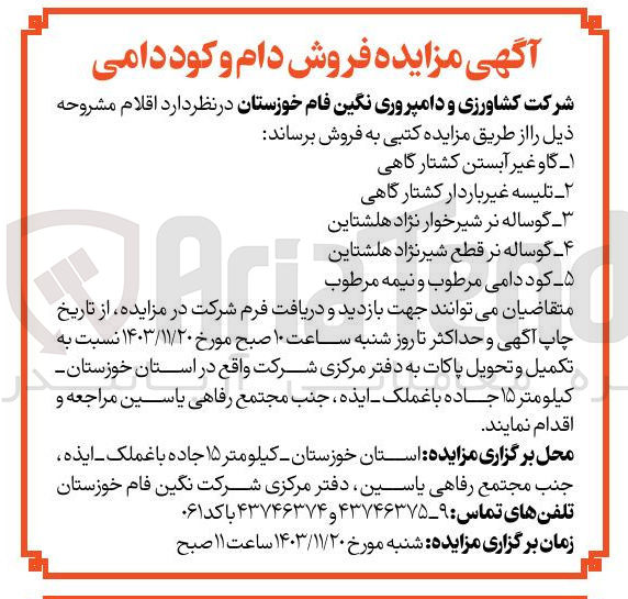 تصویر کوچک آگهی فروش دام و کود دامی  : گاو غیر آبستن کشتارگاهی - تلیسه غیر باردار کشتار گاهی - گوساله نر شیر خوار نژاد هلشتاین - گوساله نر قطع شیرنژاد هلشتاین - کود دامی مرطوب و نیمه مرطوب 