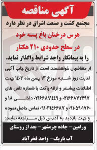 تصویر کوچک آگهی هرس درختان باغ پسته خود در سطح حدودی ۲۱۰ هکتار