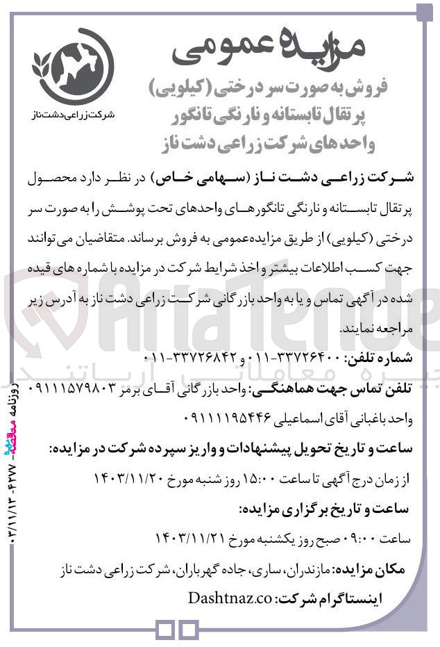 تصویر کوچک آگهی فروش محصول پرتقال تابستانه و نارنگی تانگورهای واحدهای تحت پوشش را به صورت سر درختی ( کیلویی )