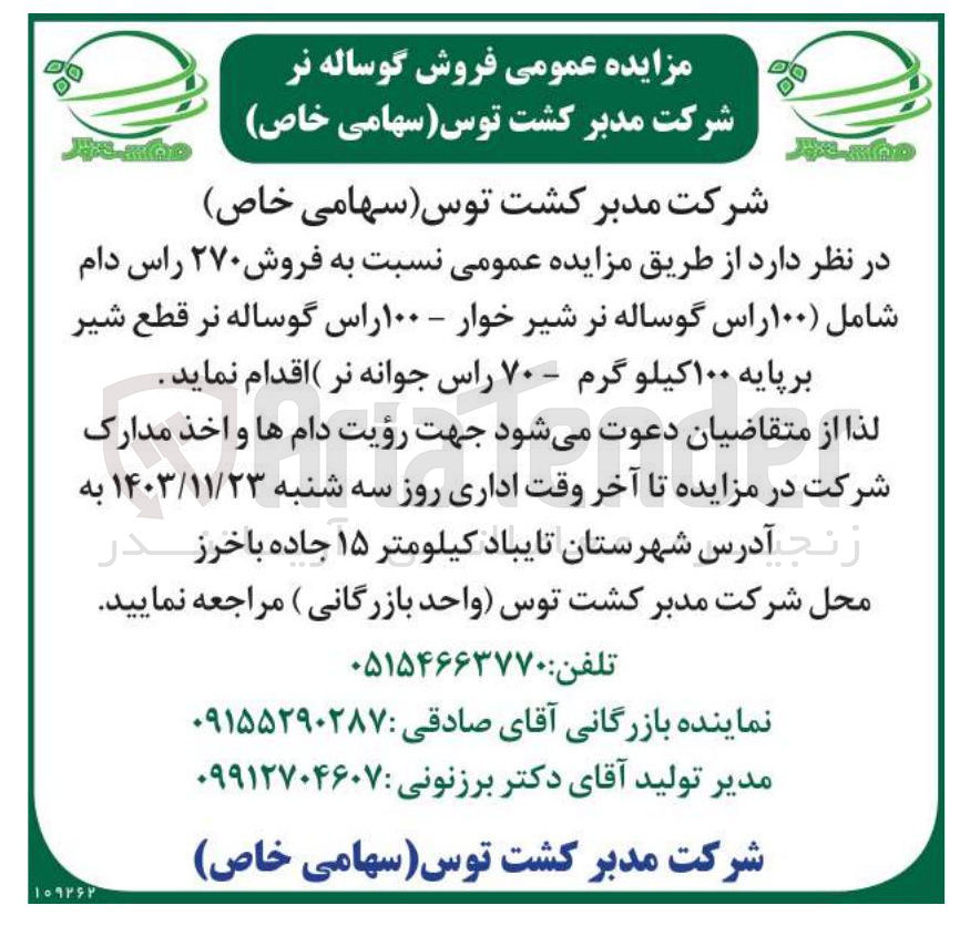 تصویر کوچک آگهی فروش ۲۷۰ راس دام شامل ۱۰۰ راس گوساله نر شیر خوار - ۱۰۰ راس گوساله نر قطع شیر برپایه ۱۰۰ کیلو گرم - ۷۰ راس جوانه نر 
