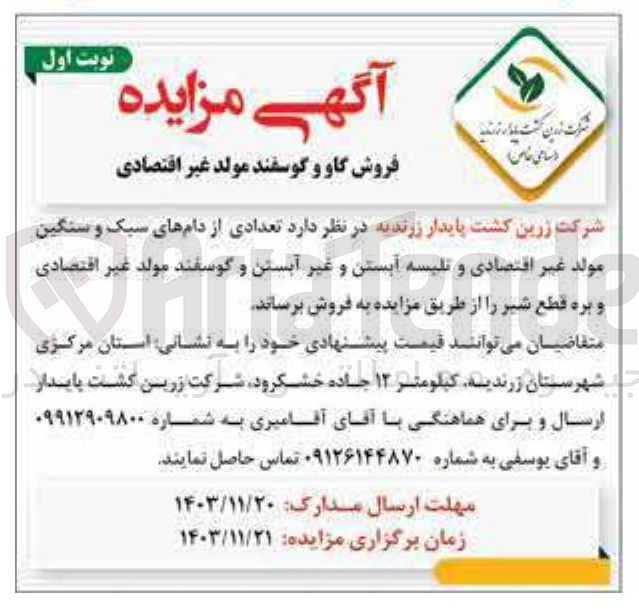 تصویر کوچک آگهی فروش تعدادی از دام های سبک و سنگین مولد غیر اقتصادی و تلیسه آبستن و غیر آبستن و گوسفند مولد غیر اقتصادی و بره قطع شیر 