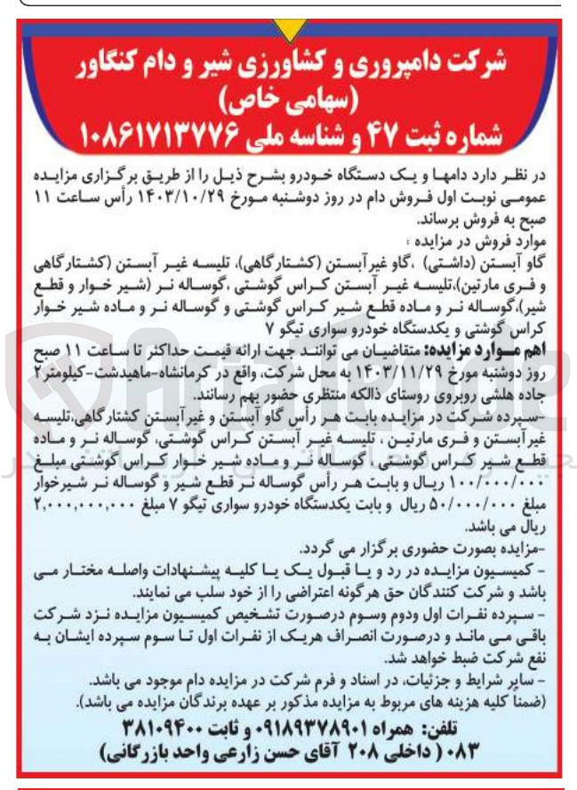 تصویر کوچک آگهی فروش  دامها و یک دستگاه خودرو :
گاو آبستن داشتی ) گاو غیر آبستن کشتارگاهی تلیسه غیر آبستن کشتارگاهی و فری مارتین تلیسه غیر آبستن کراس گوشتی گوساله نر شیر خوار و قطع شیر گوساله نر و ماده قطع شیر کراس گوشتی و گوساله نر و ماده شیر خوار کراس گوشتی و یکدستگاه خودرو سواری تیگو ۷