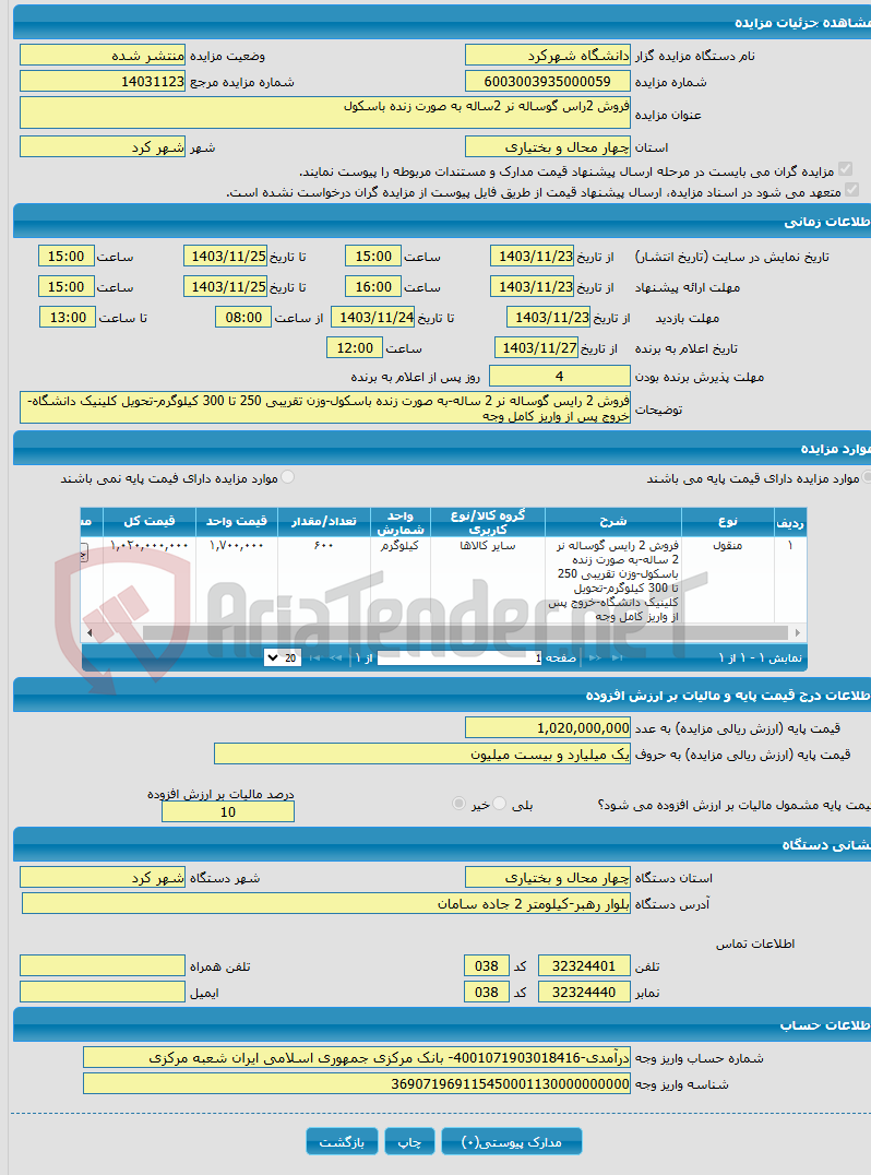 تصویر کوچک آگهی فروش 2راس گوساله نر 2ساله به صورت زنده باسکول