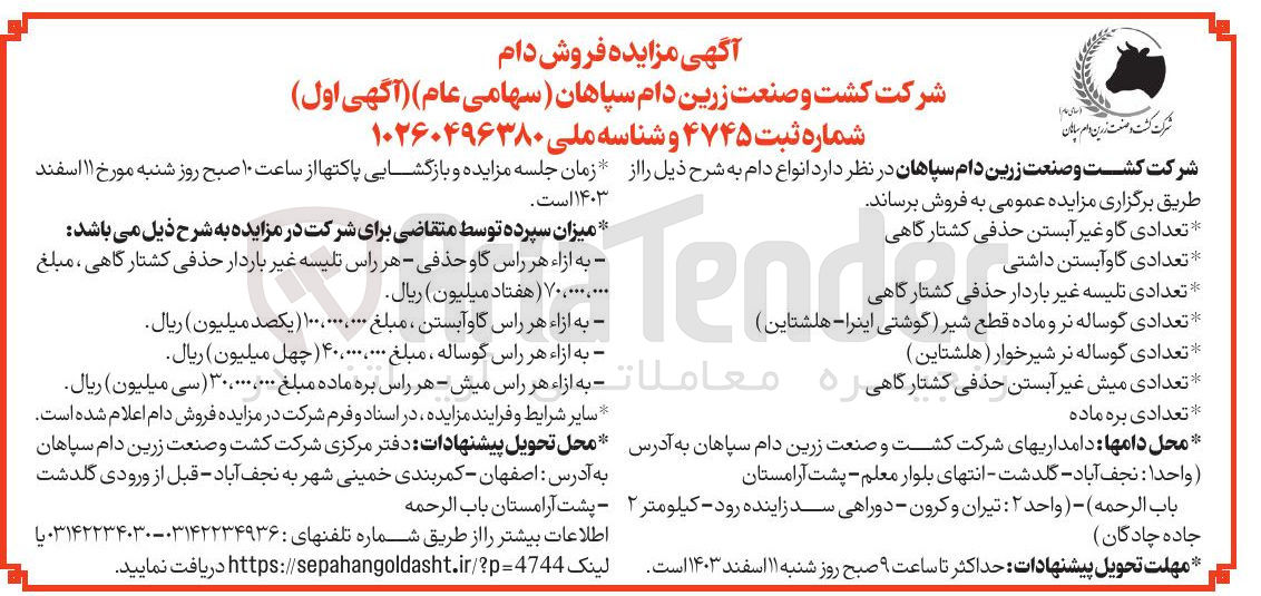 تصویر کوچک آگهی فروش انواع دام : تعدادی گاو غیر آبستن حذفی کشتارگاهی - تعدادی گاوآبستن داشتی - تعدادی تلیسه غیر باردار حذفی کشتارگاهی  - تعدادی گوساله نر و ماده قطع شیر (گوشتی اینرا - هلشتاین ) - تعدادی گوساله نر شیرخوار ( هلشتاین ) - تعدادی میش غیر آبستن حذفی کشتارگاهی - تعدادی بره ماده 
