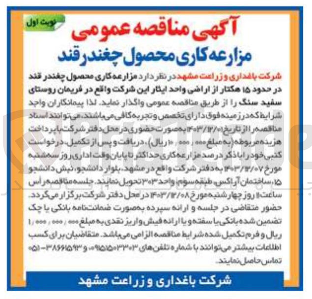 تصویر کوچک آگهی مزارعه کاری محصول چغندر قند در حدود ۱۵ هکتار از اراضی واحد ایثار این شرکت