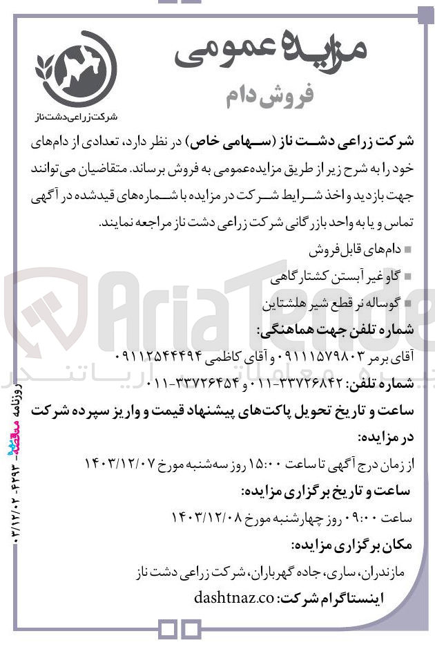 تصویر کوچک آگهی فروش تعدادی از دام های خود : گاو غیر آبستن کشتارگاهی  و گوساله نر قطع شیر هلشتاین