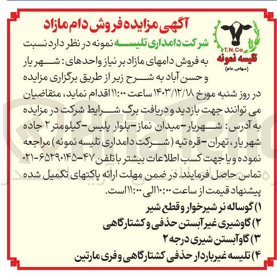 تصویر کوچک آگهی  فروش دامهای مازاد : (۱) گوساله نر شیرخوار و قطع شیر (۲) گاوشیری غیر آبستن حذفی و کشتارگاهی (۳) گاو آبستن شیری درجه ۲ (۴) تلیسه غیر باردار حذفی کشتارگاهی و فری مارتین