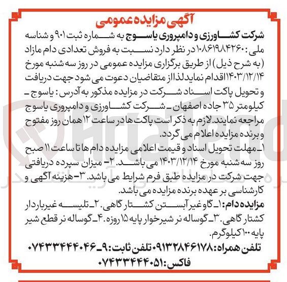 تصویر کوچک آگهی  فروش تعدادی دام مازاد : ۱ - گاو غیر آبستن کشتارگاهی ۲ - تلیسه غیر باردار کشتارگاهی ۳- گوساله نر شیر خوار پایه ۱۵ روزه ۴- گوساله نر قطع شیر پایه ۱۰۰ کیلوگرم
