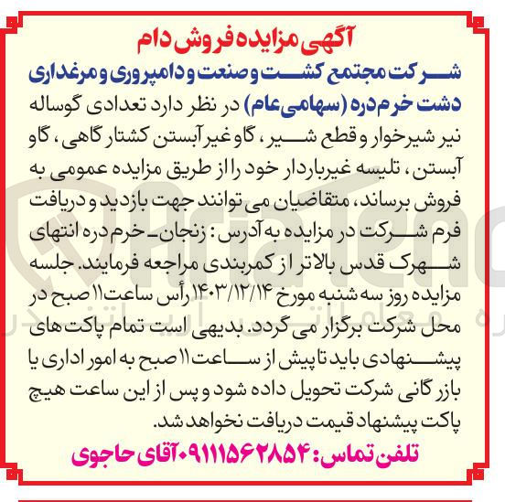 تصویر کوچک آگهی فروش تعدادی گوساله نیر شیرخوار و قطع شیر گاو غیر آبستن کشتارگاهی گاو آبستن تلیسه غیر باردار