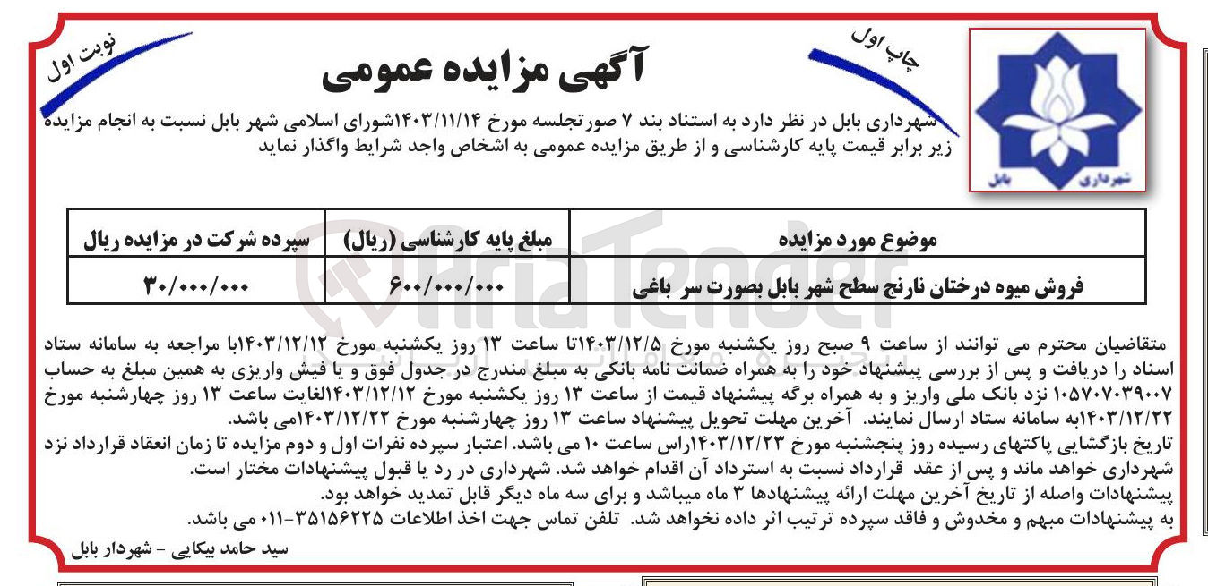 تصویر کوچک آگهی فروش میوه درختان نارنج سطح شهر بصورت سر باغی