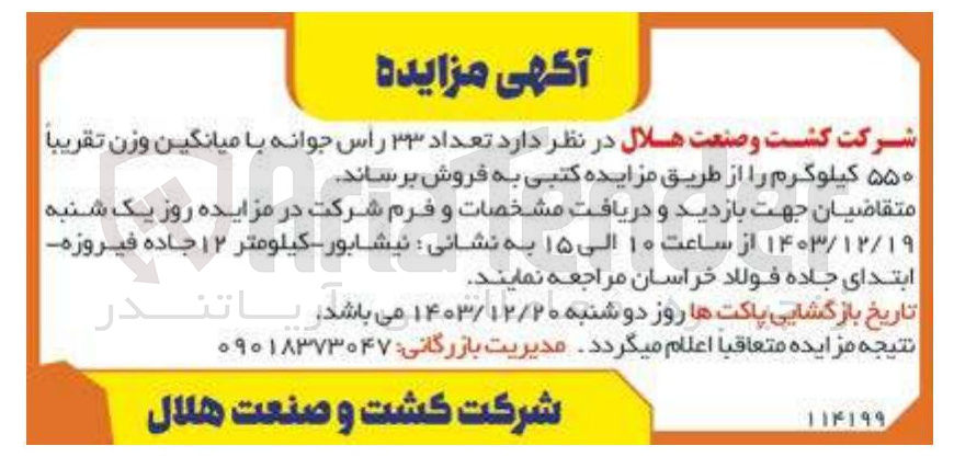 تصویر کوچک آگهی تعداد ۳۳ راس جوانه با میانگین وزن تقریباً ۵۵۰ کیلوگرم 