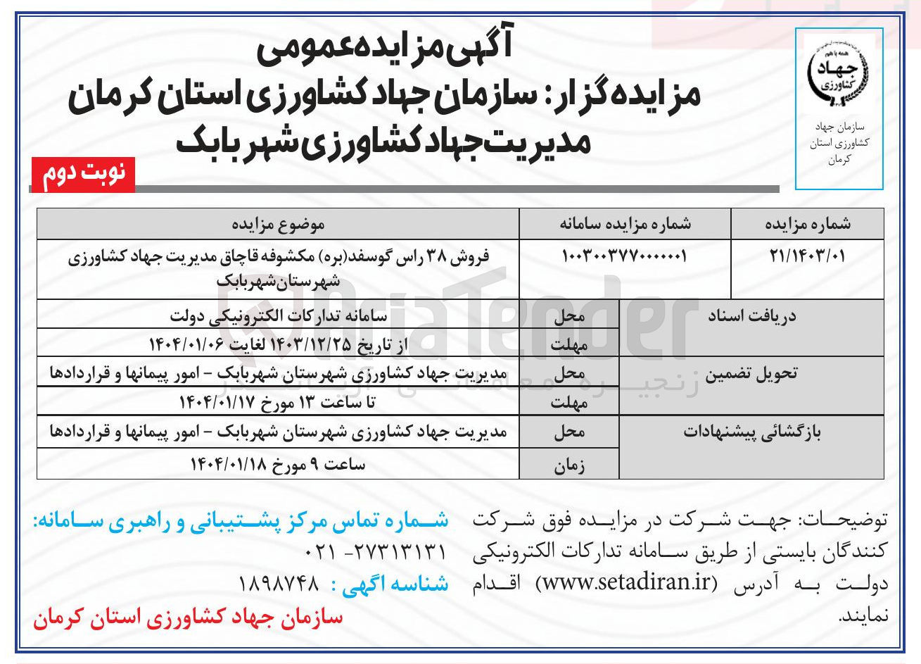 تصویر کوچک آگهی فروش ۳۸ راس گوسفد ( بره )