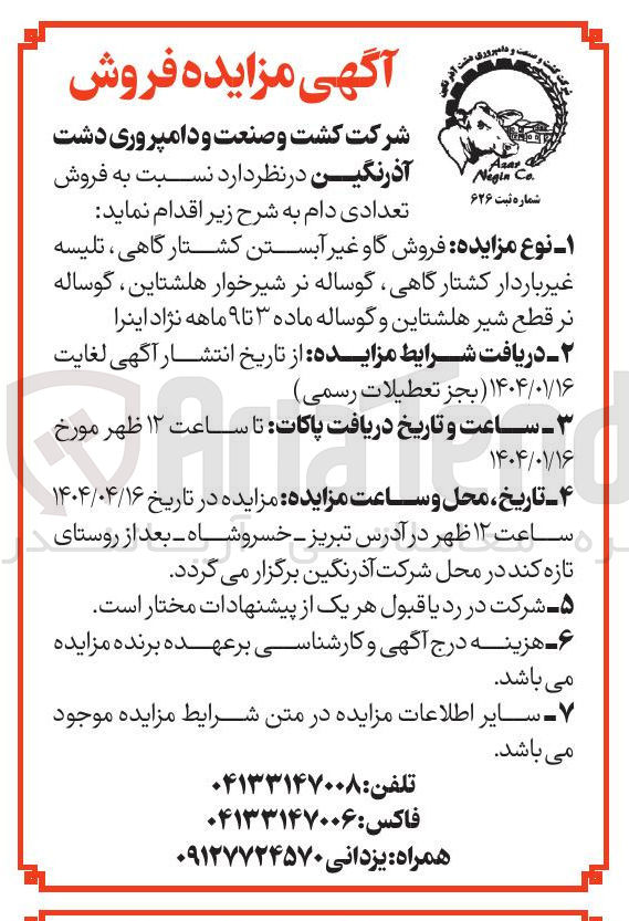 تصویر کوچک آگهی  فروش گاو غیر آبستن کشتارگاهی ، تلیسه غیر باردار کشتار گاهی گوساله نر شیرخوار هلشتاین ، گوساله نر قطع شیر هلشتاین و گوساله ماده ۳ تا ۹ ماهه نژاد اینرا 
