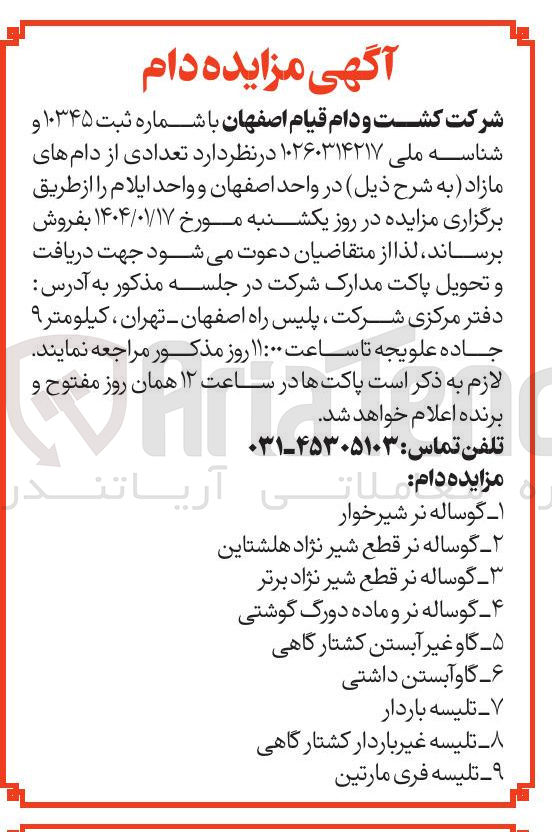 تصویر کوچک آگهی تلیسه غیر باردار کشتارگاهی 
