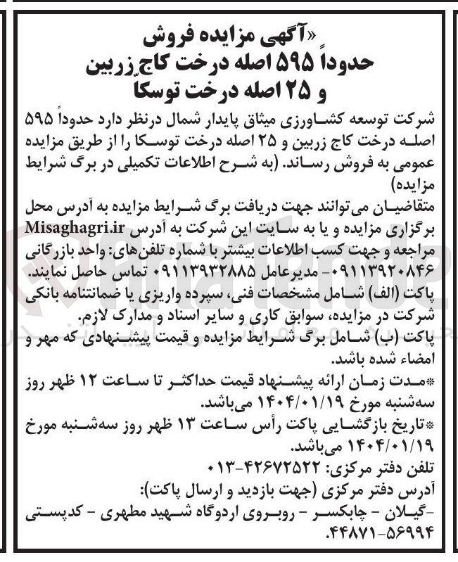 تصویر کوچک آگهی فروش حدودا ۵۹۵ اصله درخت کاج زربین و ۲۵ اصله درخت توسکا 
