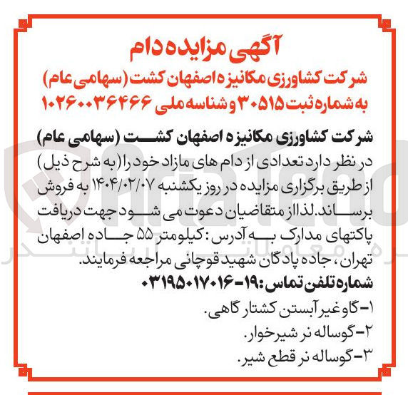 تصویر کوچک آگهی ۲ - گوساله نر شیرخوار 
