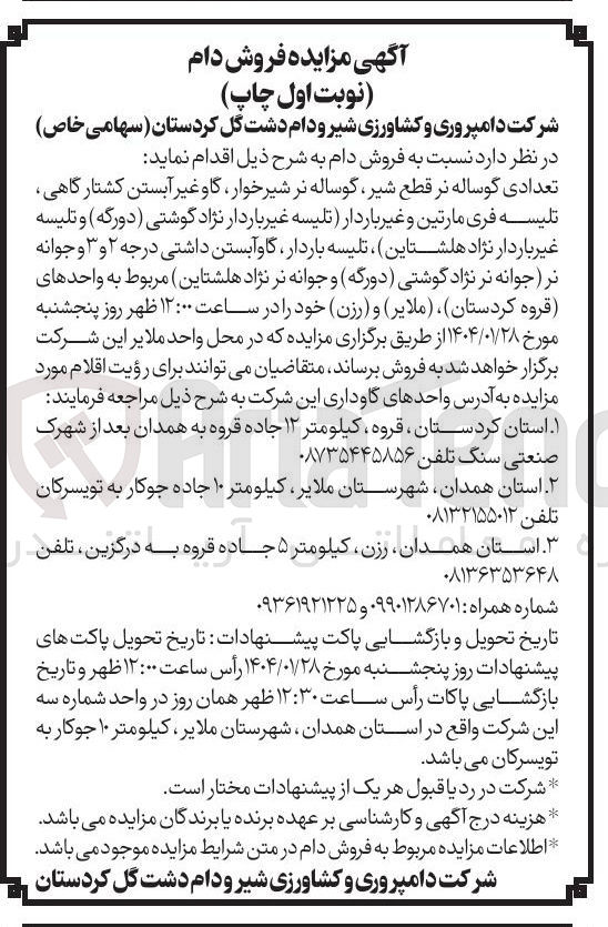 تصویر کوچک آگهی فروش دام : تعدادی گوساله نر قطع شیر گوساله نر شیر خوار گاو غیر آبستن کشتارگاهی تلیسه فری مارتین و غیر باردار تلیسه غیر باردار نژاد گوشتی ( دورگه ) و تلیسه غیر باردار نژاد هلشتاین ، تلیسه باردار گاو آبستن داشتی درجه ۲ و ۳ و جوانه نر ( جوانه نر نژاد گوشتی ( دورگه و جوانه نر نژاد هلشتاین ) مربوط به واحدهای قروه کردستان ) ، ( ملایر ) و ( رزن )
