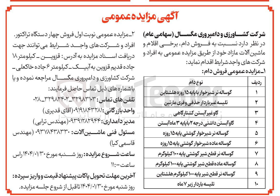 تصویر کوچک آگهی فروش دام در 10 ردیف :
گوساله نر شیرخوار با پایه ۱۵ روزه هلشتاین 
تلیسه غیر باردار حذفی و فری مارتین
گاو آبستن داشتی درجه ۲ با پایه ۳ ماه آبستن
گوساله نر شیرخوار گوشتی پایه ۱۵ روزه 
گوساله ماده شیرخوار گوشتی پایه ۱۵ روزه
گوساله نر قطع شیر گوشتی پایه ۱۰۰ کیلوگرم 
گوساله ماده قطع شیر گوشتی پایه ۱۰۰ کیلوگرم
گوساله نر قطع شیر پایه ۱۰۰ کیلوگرم هلشتاین 