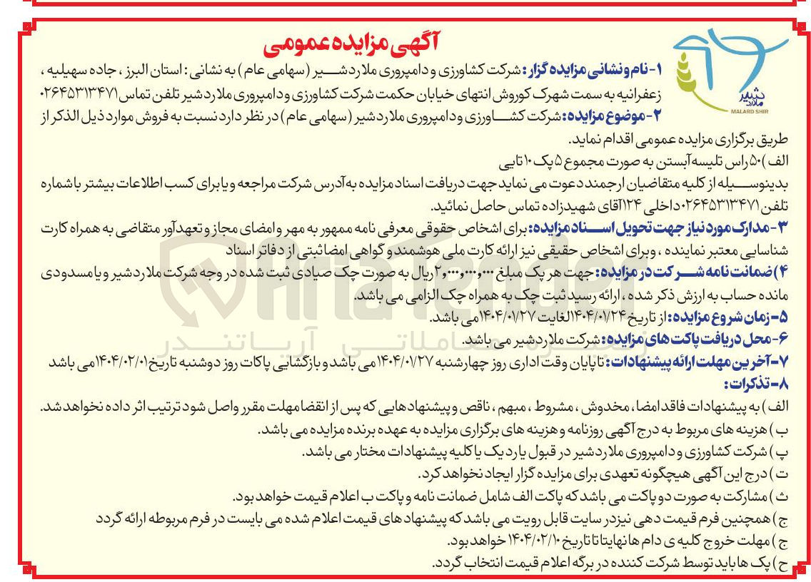 تصویر کوچک آگهی  50 راس تلیسه آبستن به صورت مجموع ۵ پک ۱۰ تابی 