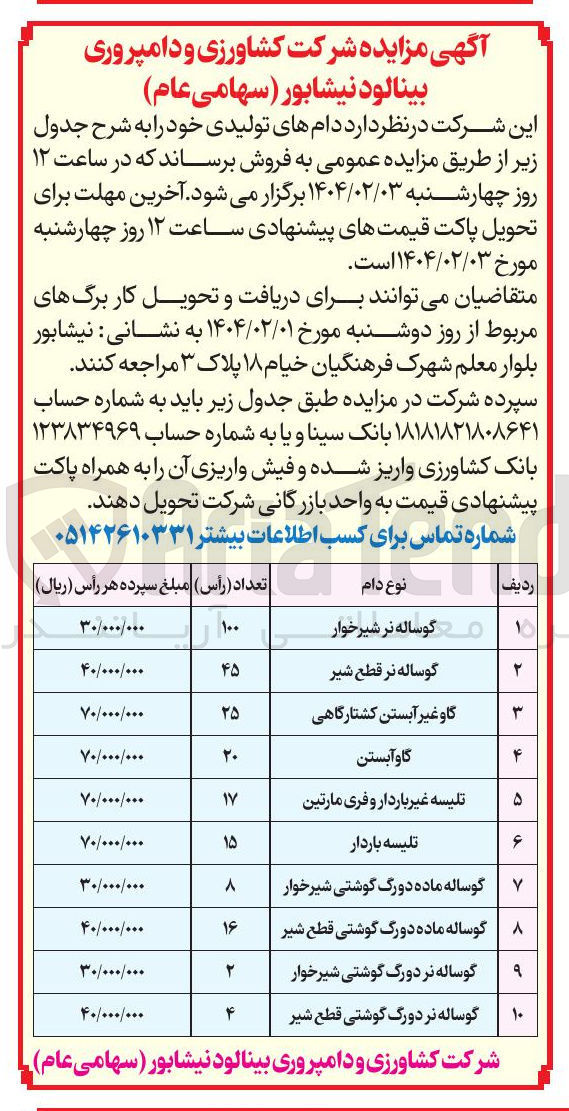 تصویر کوچک آگهی گوساله نر دورگ گوشتی قطع شیر 
