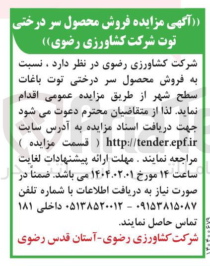 تصویر کوچک آگهی فروش محصول سر درختی توت باغات سطح شهر
