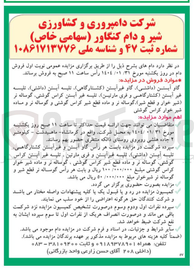 تصویر کوچک آگهی فروش دام : گاو آبستن داشتی ) گاو غیر آبستن کشتارگاهی تلیسه آبستن داشتی ) ، تلیسه غیر آبستن کشتارگاهی و فری مارتین تلیسه غیر آبستن کراس گوشتی گوساله نر شیر خوار و قطع شیر گوساله نر و ماده قطع شیر کراس گوشتی و گوساله نر و ماده شیر خوار کراس گوشتی