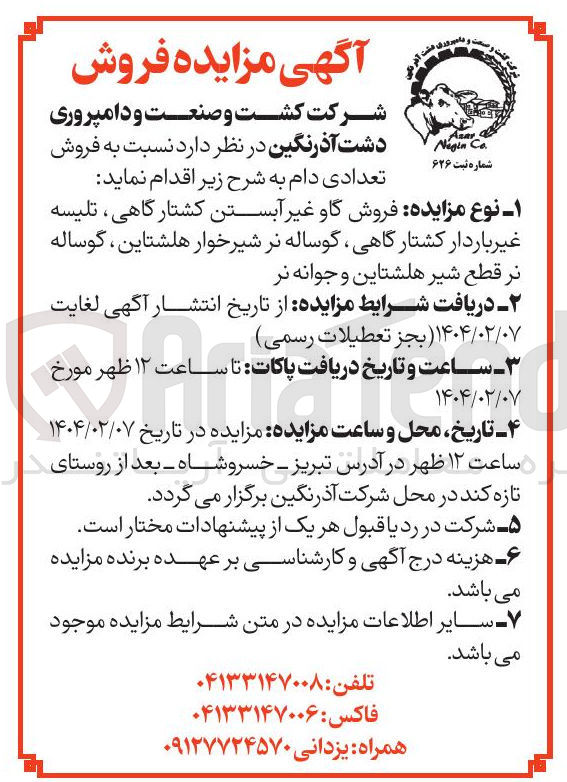 تصویر کوچک آگهی فروش گاو غیر آبستن کشتارگاهی ، تلیسه غیر باردار کشتار گاهی گوساله نر شیرخوار هلشتاین ، گوساله نر قطع شیر هلشتاین و جوانه نر 