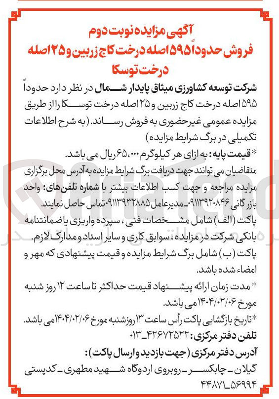 تصویر کوچک آگهی فروش حدودا ۵۹۵ اصله درخت کاج زربین و ۲۵ اصله درخت توسکا