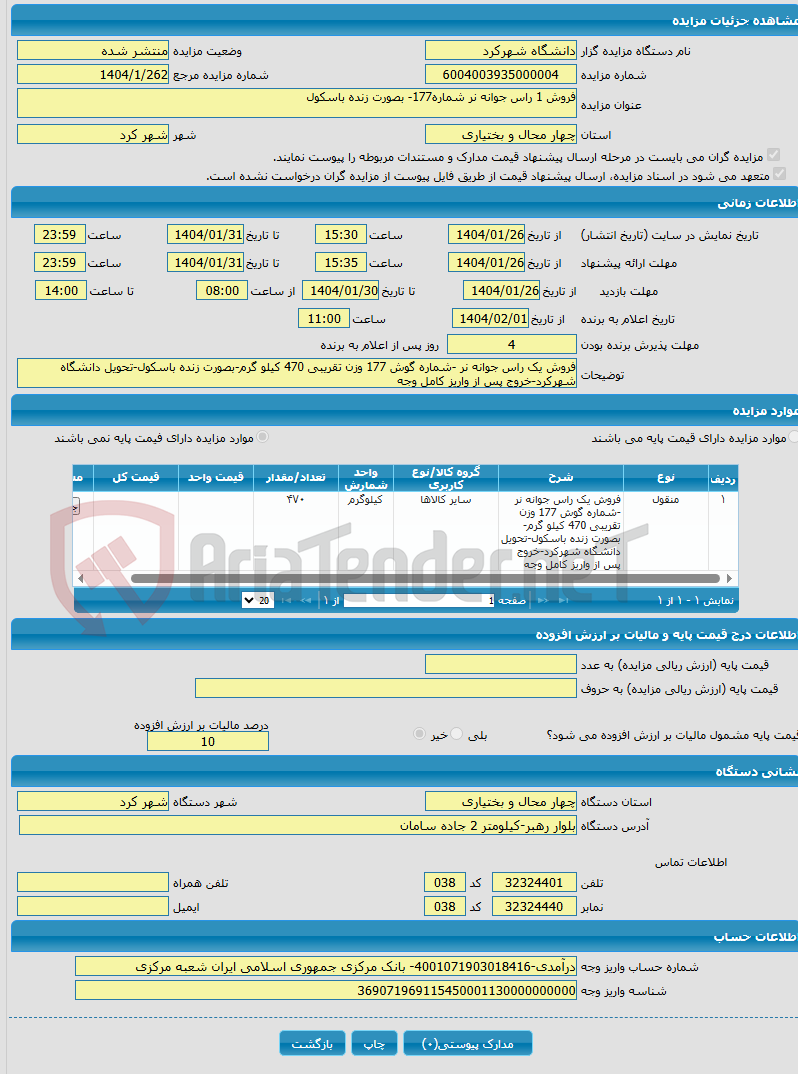 تصویر کوچک آگهی فروش 1 راس جوانه نر شماره177- بصورت زنده باسکول
