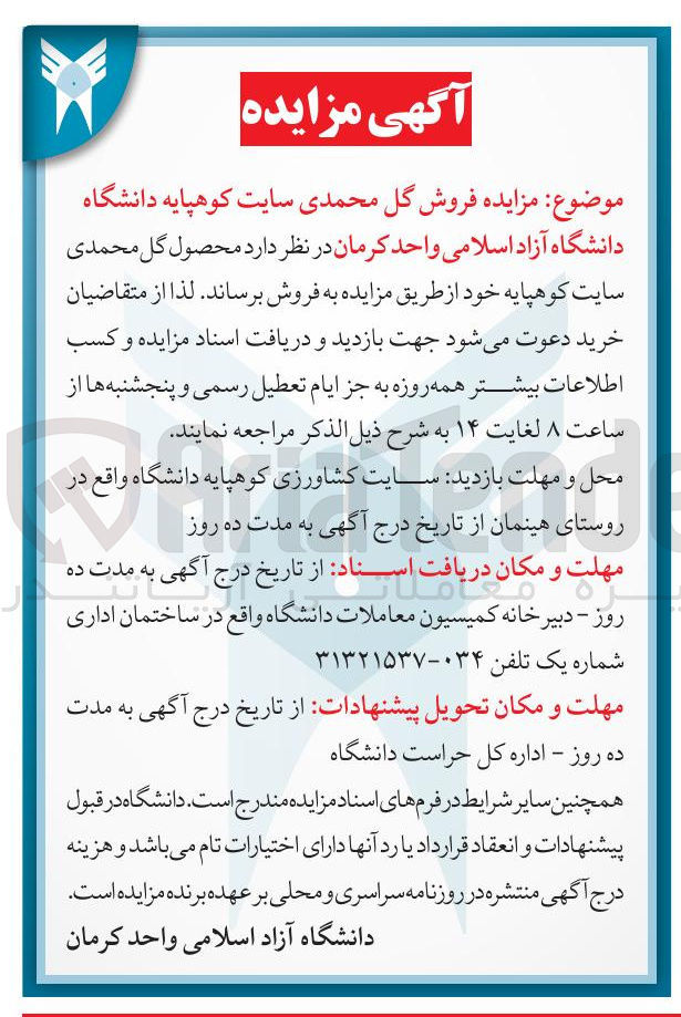 تصویر کوچک آگهی  فروش گل محمدی 