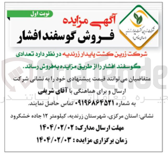 تصویر کوچک آگهی فروش تعدادی گوسفند افشار