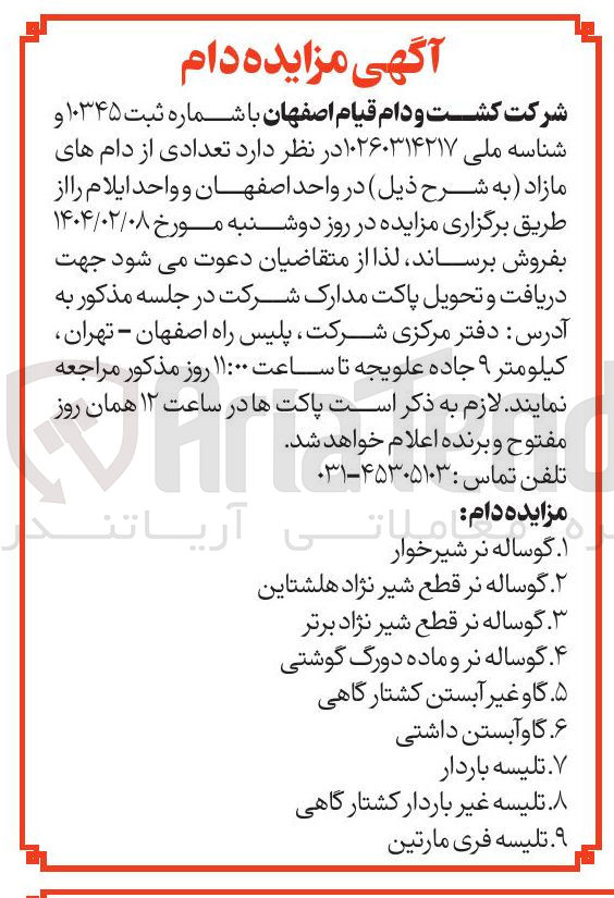 تصویر کوچک آگهی تلیسه غیر باردار کشتارگاهی 

