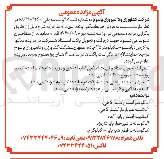تصویر کوچک آگهی گاو غیر آبستن کشتارگاهی 