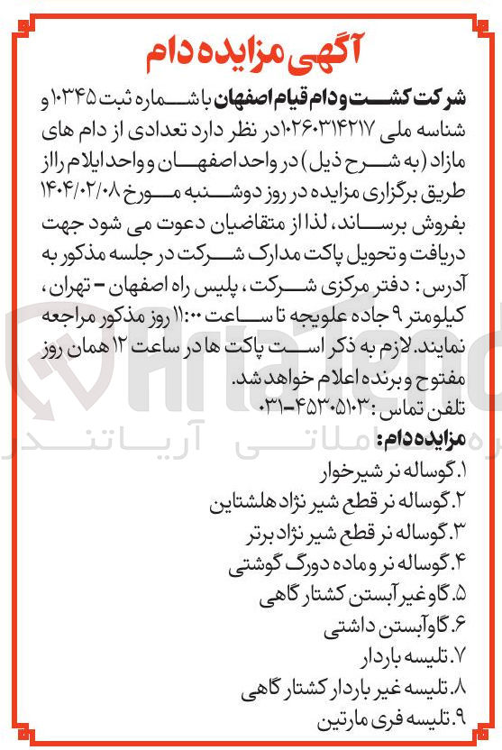 تصویر کوچک آگهی ۱ گوساله نر شیرخوار 
