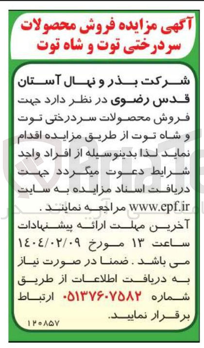 تصویر کوچک آگهی فروش محصولات سر درختی توت و شاه توت 
