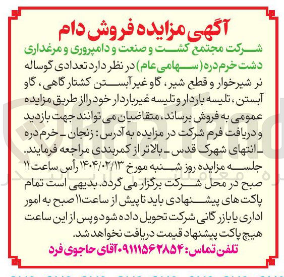 تصویر کوچک آگهی فروش تعدادی گوساله نر شیرخوار و قطع شیر گاو غیر آبستن کشتارگاهی گاو آبستن ، تلیسه باردار و تلیسه غیر باردار