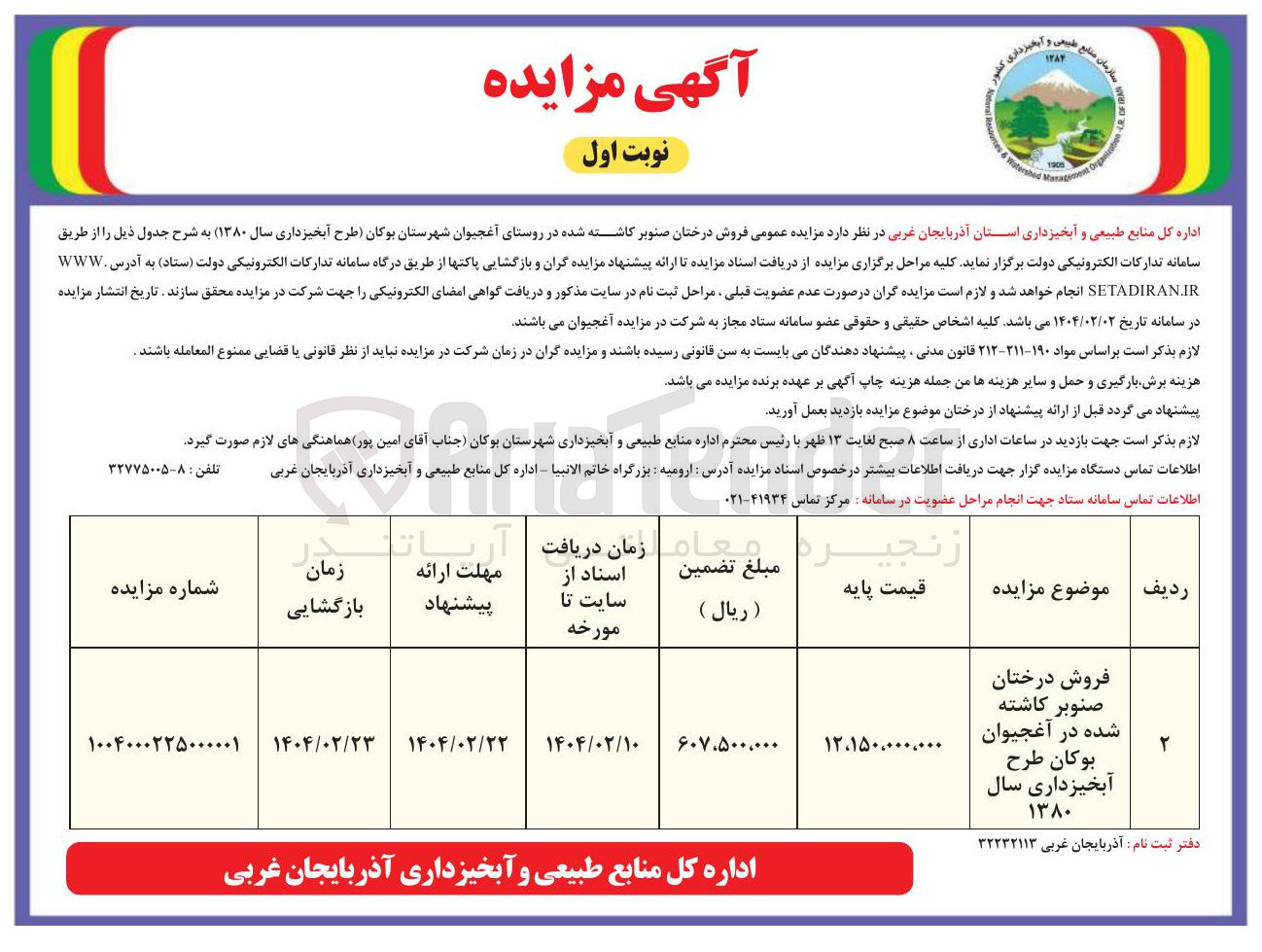 تصویر کوچک آگهی فروش درختان صنوبر کاشته شده 