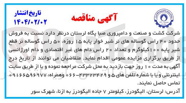 تصویر کوچک آگهی فروش حدود ۴۰ راس گوساله های نر شیر خوار پایه ۱۵ روزه ۵۰ راس گوساله نر قطع شیر پایه ۱۰۰ کیلوگرم و تعداد ۲۰ راس دامهای غیر اقتصادی و دام اورژانسی