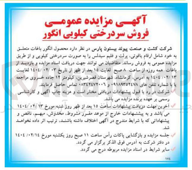 تصویر کوچک آگهی فروش محصول انگور باغات متعلق به خود شامل ارقام یاقوتی پرلت و فلیم سیدلس را به صورت سردرختی کیلویی