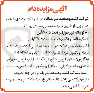 تصویر کوچک آگهی فروش تعدادی دام : ۱- گوساله شیرخوار ( نر ) تعداد : ۱۰۰ رأس 
۲- گوساله ( نر ) قطع شیرخوار تعداد : ۳۵ رأس
