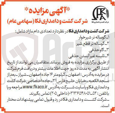 تصویر کوچک آگهی ۲ - گوساله نر قطع شیر 
