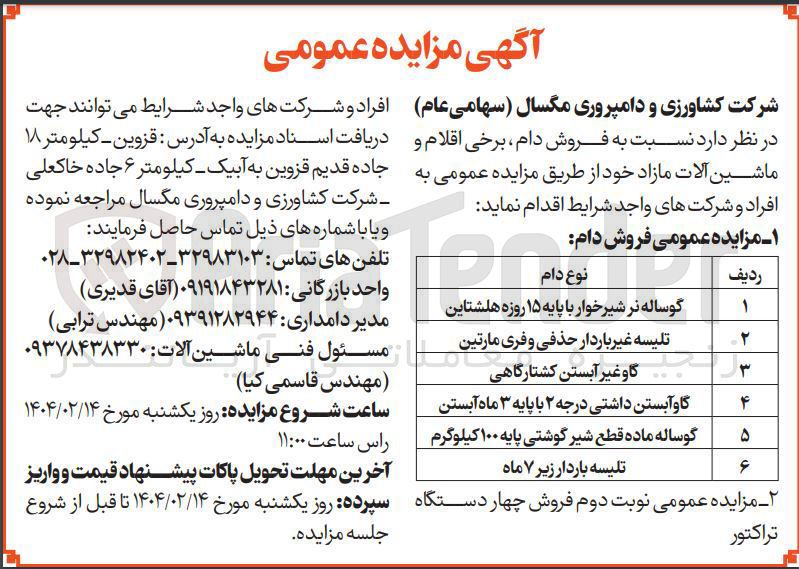 تصویر کوچک آگهی فروش دام : تلیسه غیر باردار حذفی و فری مارتین - گوساله نر شیرخوار با پایه ۱۵ روزه هلشتاین - گاو غیر آبستن کشتارگاهی - گاو آبستن داشتی درجه ۲ با پایه ۳ ماه آبستن - گوساله ماده قطع شیر گوشتی پایه ۱۰۰ کیلوگرم - تلیسه باردار زیر ۷ ماه