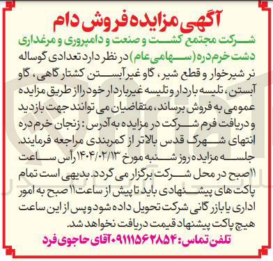 تصویر کوچک آگهی  تعدادی گوساله نر شیرخوار و قطع شیر گاو غیر آبستن کشتارگاهی گاو آبستن تلیسه باردار و تلیسه غیر باردار 