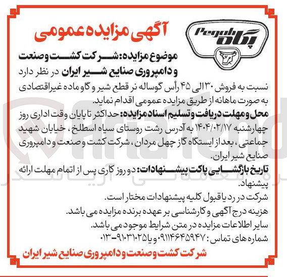 تصویر کوچک آگهی فروش ۳۰ الی ۴۵ رأس گوساله نر قطع شیر و گاو ماده غیر اقتصادی