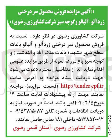 تصویر کوچک آگهی  فروش محصول سر درختی زرد آلو و آلبالو باغات سطح شهر 