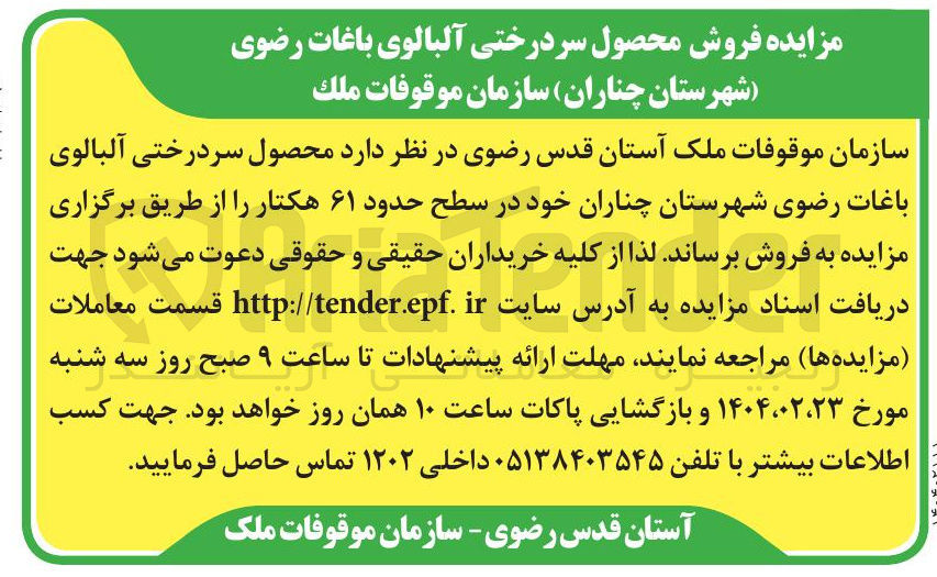 تصویر کوچک آگهی  محصول سردرختی آلبالوی - باغات رضوی شهرستان چناران خود در سطح حدود ۶۱ هکتار 
