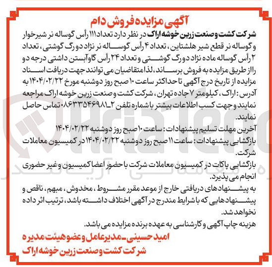 تصویر کوچک آگهی فروش تعداد ۱۱۱ رأس گوساله نر شیرخوار و گوساله نر قطع شیر هلشتاین تعداد ۴ رأس گوساله نر نژاد دو رگ گوشتی تعداد ۲ رأس گوساله ماده نژاد دورگ گوشتی و تعداد ۲۴ رأس گاو آبستن داشتی درجه دو 