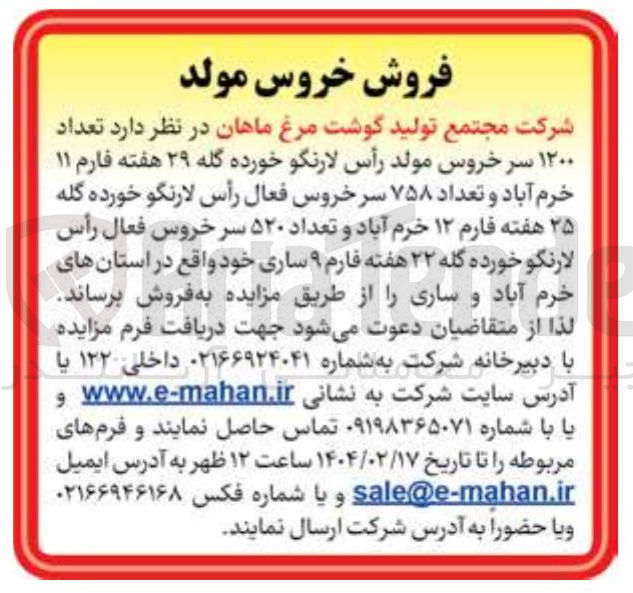 تصویر کوچک آگهی عداد ۱۲۰۰ سر خروس مولد رأس لارنگو خورده گله ۲۹ هفته فارم ۱۱ خرم آباد و تعداد ۷۵۸ سر خروس فعال رأس لارنگو خورده گله ۲۵ هفته فارم ۱۲ خرم آباد و تعداد ۵۲۰ سر خروس فعال رأس لارنگو خورده گله ۲۲ هفته فارم ۹ ساری