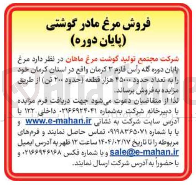 تصویر کوچک آگهی فروش مرغ پایان دوره گله رأس فارم ۳ به تعداد حدود ۴۵۰۰۰ هزار قطعه حدود ۲۰۰ تن