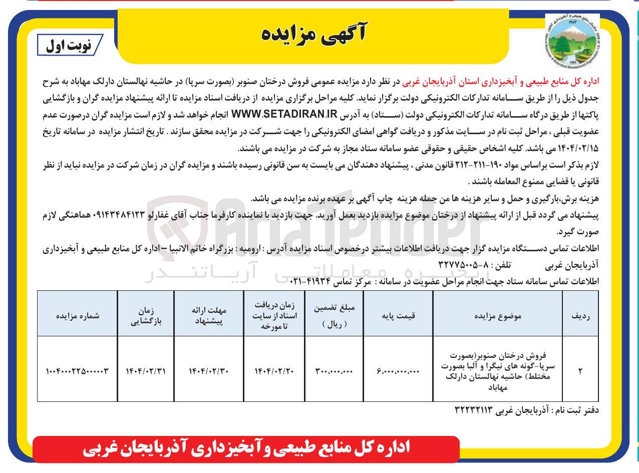 تصویر کوچک آگهی فروش درختان صنوبر ( بصورت سرپا گونه های نیگرا و آلبا بصورت مختلط ) 